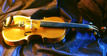 Violin