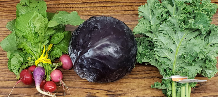 Bright colors equal nutritious salads.