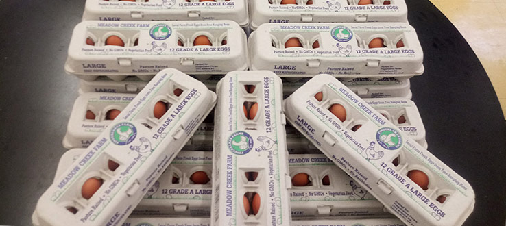 Eggs should be a part of your farm share order.