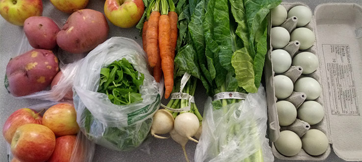 The beautiful vegetables and eggs of the Corbin Hill Food Project.