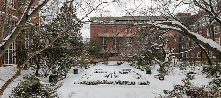 A snowy winterland greets you during our January intersession classes.