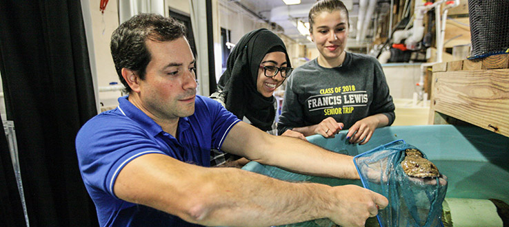 We make faculty-student collaboration easy.