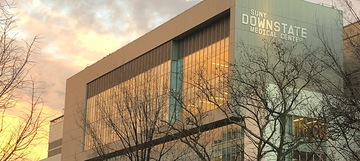 The School of Graduate Studies, one of five schools at SUNY Health Sciences University, is dedicated to the training of future scientists and academic physicians in the biomedical field.