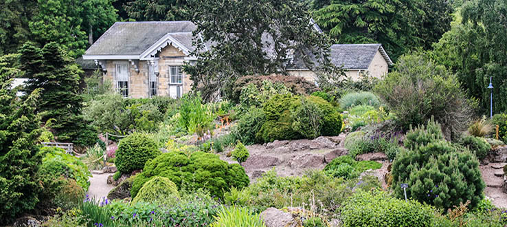 Explore the bucolic gardens of Edinburgh.