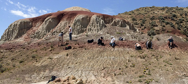 Our summer archaeological field school takes you on digs around the world.