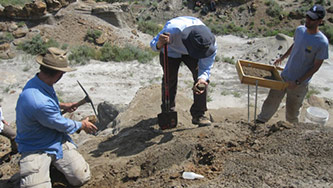 <p>Lyson, Chester, and Sargis screening for earliest Paleocene vertebrate fossils in the Fort Union Formation, Montana</p>