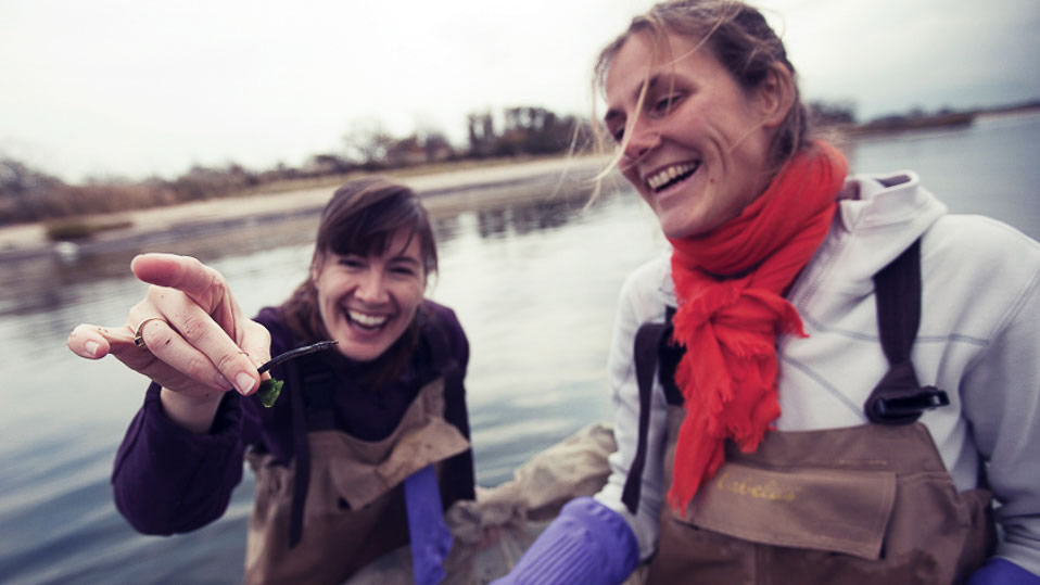 Science and Resilience Institute at Jamaica Bay