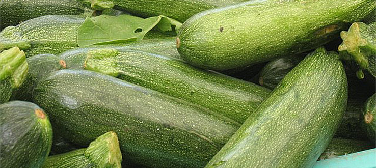 “Let food be thy medicine and medicine be thy food." – Hippocrates