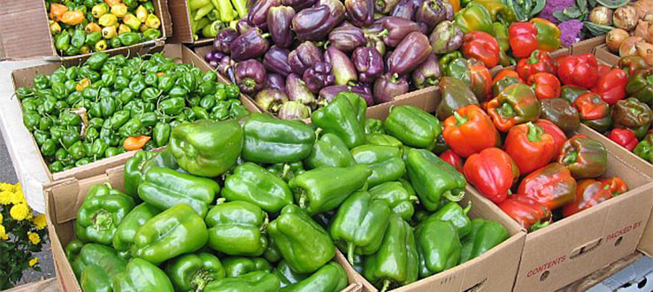 “The first wealth is health.” – Ralph Waldo Emerson