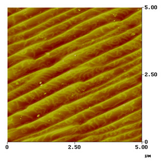 <p>AFM image of AlN epilayer</p>