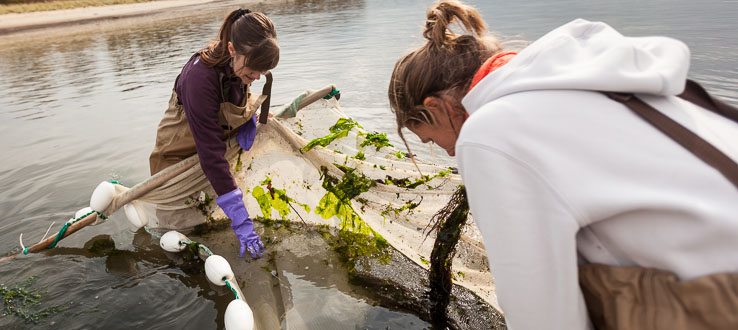 Students go off campus to study the ecosystem and adjacent communities of Jamaica Bay.