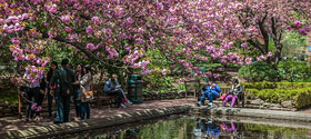 Apply for Fall 2019 Apply for Fall 2019
