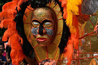 Caribbean Parade costume.