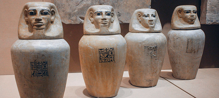 Take advantage of our world-class cultural institutions.