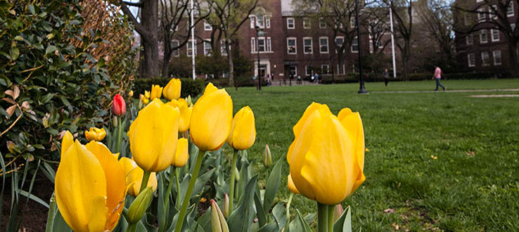 The beauty of our campus attracts students from around the world.