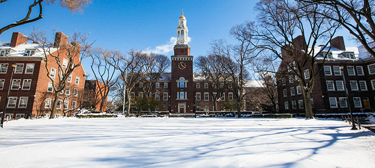 Our campus is beautiful in every season.