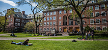 Students studying on the Central Quad.