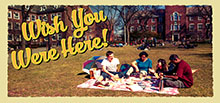 Students studying on a blanket outside with the stylized text 'Wish You Were Here!'.