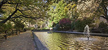 Autumn foliage at the Lily Pond.