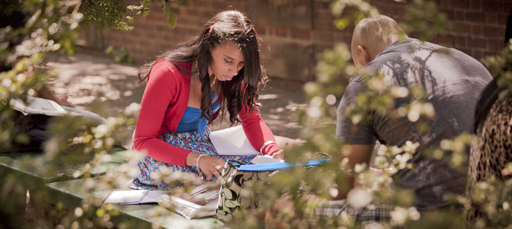 Brooklyn college transfer student