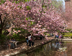 Brooklyn College Calendar