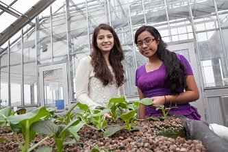 Samantha Vouyiouklis (left) and Tanzina Nawrin enjoy observing the plant life that grows in the Brooklyn College Greenhouse.