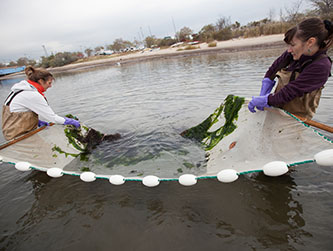 <p>A Department of Earth and Environmental Sciences team searches for clues of the environmental impact Hurricane Sandy generated on Jamaica Bay. </p>