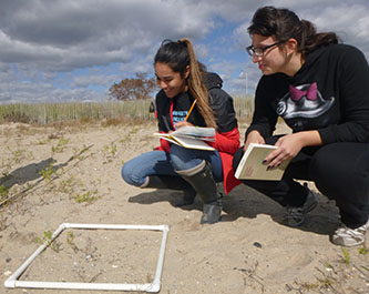 Graduate students of the Earth and Environmental Sciences Department examine the resilience of dunes in Jamaica Bay. 