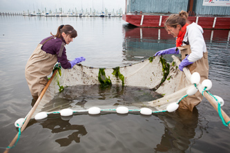 <p>Brooklyn College researchers at Jamaica Bay.</p>