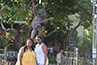 <p>Nicole St. Clair and BLMI administrative assistant Taisha Manigat pose in front of a Bob Marley statue outside of the Bob Marley Museum in Kingston, the country’s capital.</p>