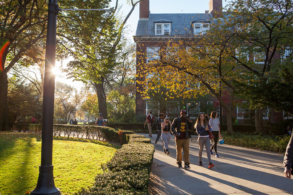 brooklyn colleges brooklyn colleges