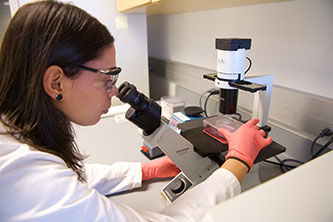 Claudia Melo '21 works in a laboratory as part of the National Institutes of Health-funded “Maximizing Access to Research Careers program,” just one of the many STEM-centered initiatves in the college’s Center for Achievement in Science Education (CASE) program.
