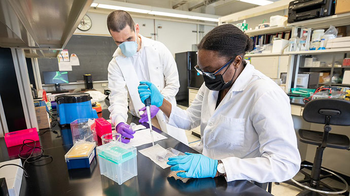 Research is done at Brooklyn College that will aid in the mission of BCCC-CURE.