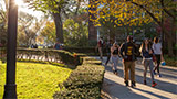 Walk by Boylan
