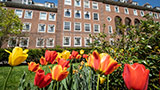Springtime