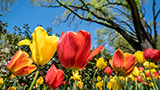 Springtime