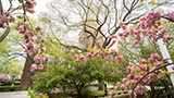 Springtime