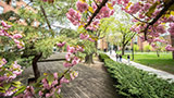 Springtime