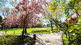 Springtime