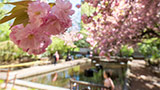 Springtime
