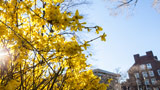 Springtime