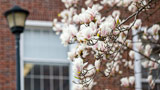 Springtime