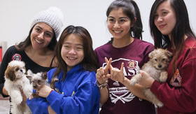 Brooklyn College and CUNY Resources for Personal Well-being Brooklyn College and CUNY Resources for Personal Well-being
