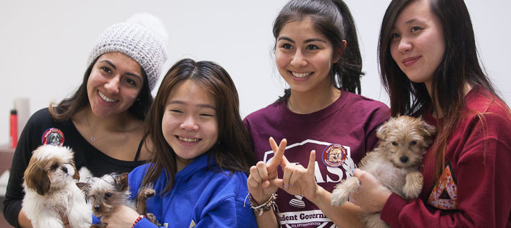 Brooklyn College and CUNY Resources for Personal Well-being