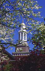 Tower