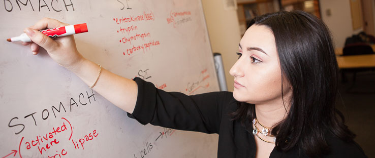 1<p>Comprehensive review sessions offered in advance of midterms and finals</p>