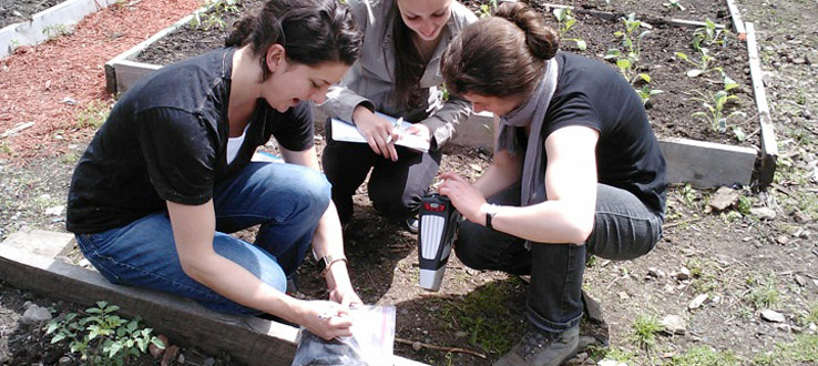 Student Research in a Community Garden