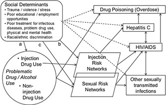 Diagram of social and behavioral determinants of health, syndemics and health disparities
