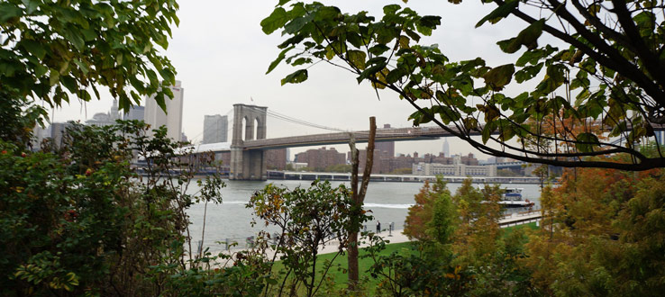 Learn about Brooklyn Bridge Park and urban sustainability at the Brooklyn waterfront.