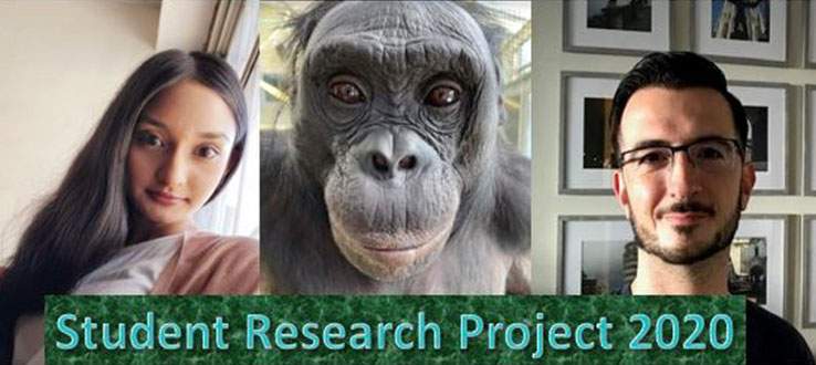 Philosophy majors, Makesha Balkaran and Vincent Andreassi, participate in research project on theory-of-mind in bonobos.